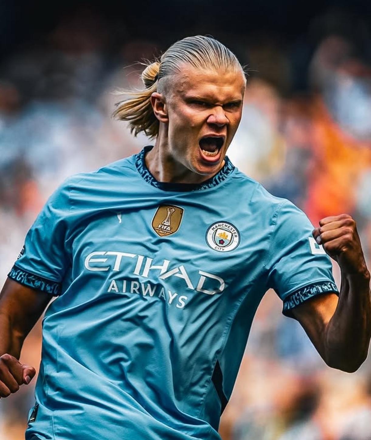 三节被